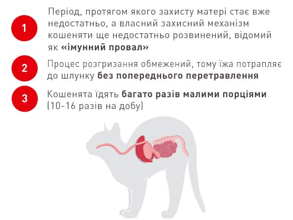 royalcanin kitten instinctive loafinsauce apremium mobile module 3 image 1