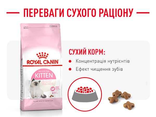 royalcanin kitten instinctive loafinsauce apremium mobile module 6 image 2