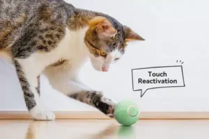 touch reactivation 1 ice cream ball. amigovet