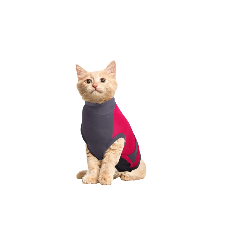 Післяопераційний костюм Maxx для котів