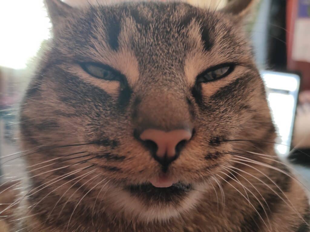 Зображення #1 від Ксенія П.