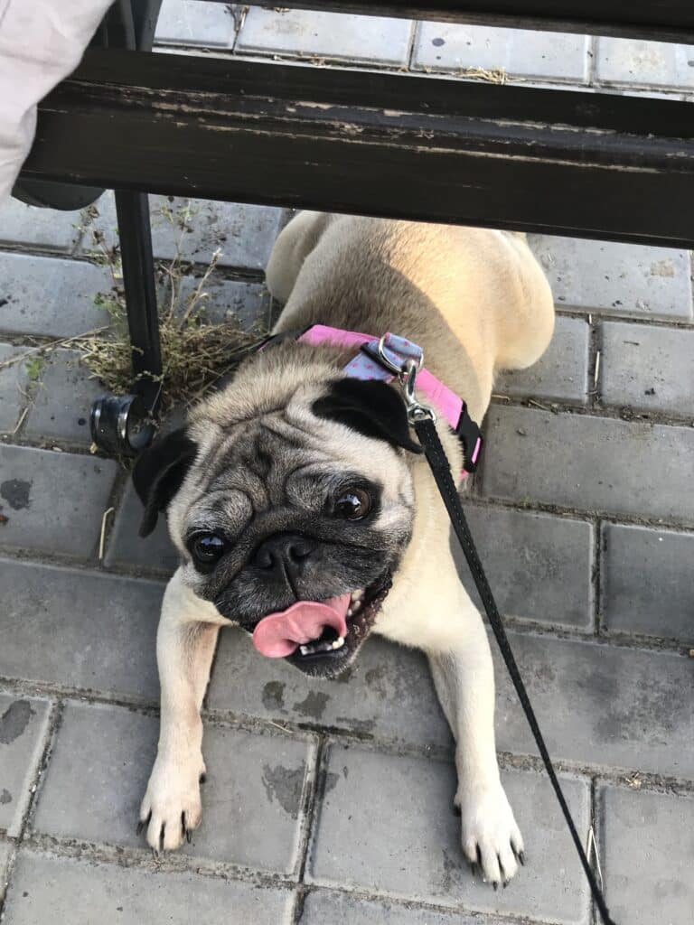 Зображення #1 від Лариса С.