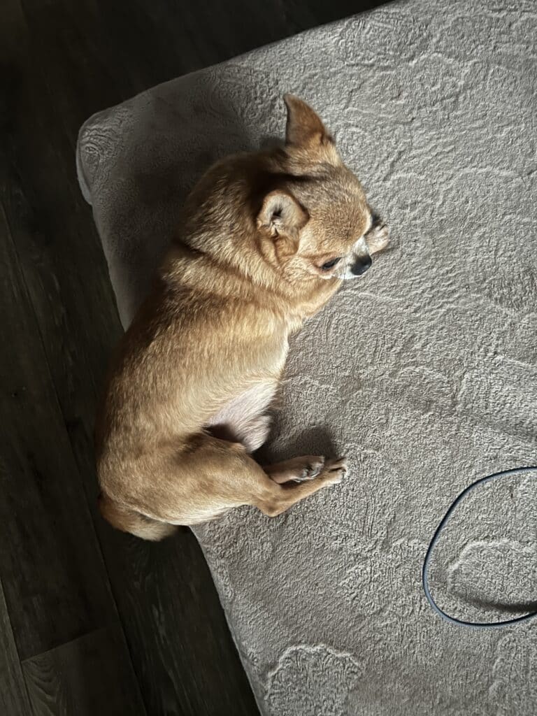 Зображення #1 від Анонім