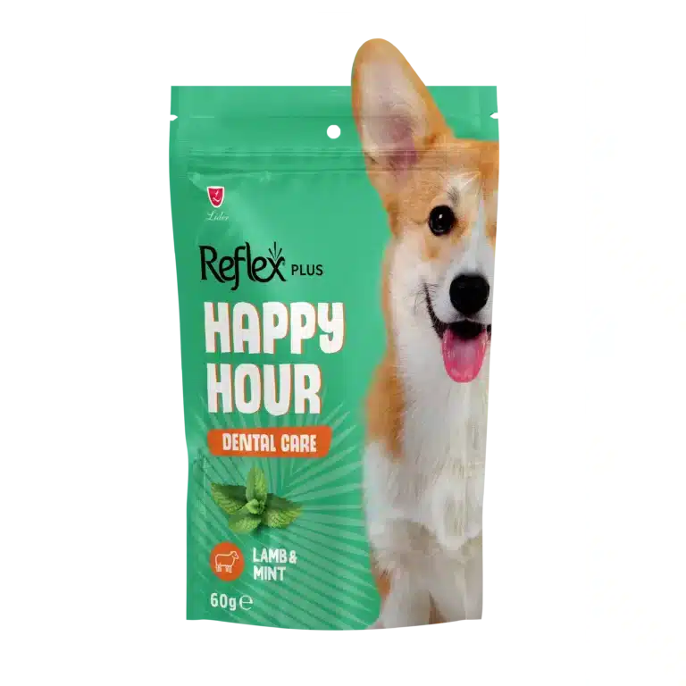 Ласощі для собак Reflex Happy Hour з ягням та м’ятою, дентал