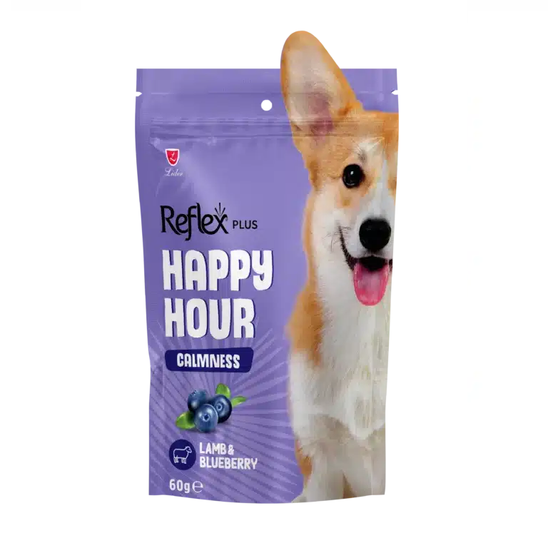 Ласощі Reflex Happy Hour з ягням та чорницею для собак