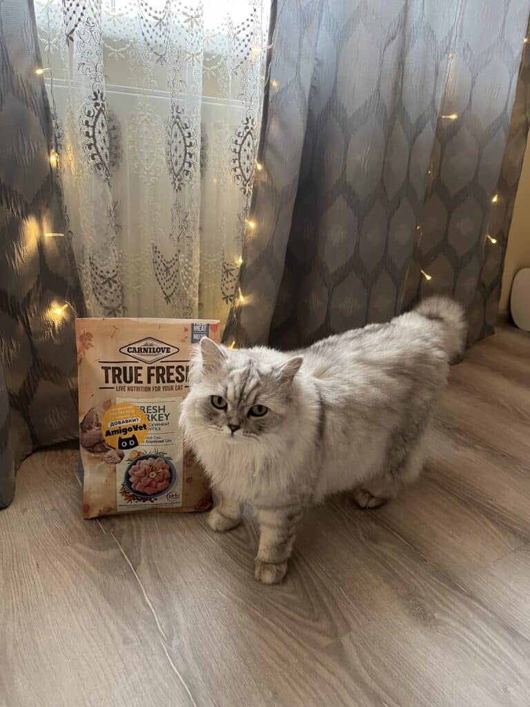 Зображення #1 від Анна Балдіна