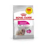 Акція🔥 Сухий корм для вибагливих собак дрібних порід  ROYAL CANIN MINI EXIGENT 2,5кг + 500г