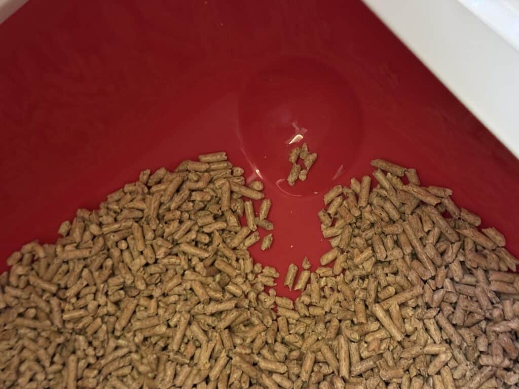 Зображення #3 від Ірена