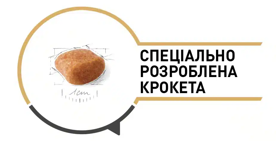 bhn poodle adult kibble 1 ua amigovet
