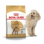 Сухий корм Royal Canin Poodle Adult для дорослих собак