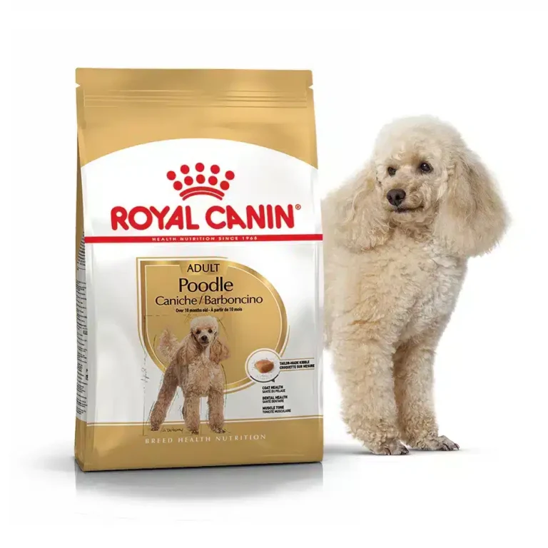 Сухий корм Royal Canin Poodle Adult для дорослих собак