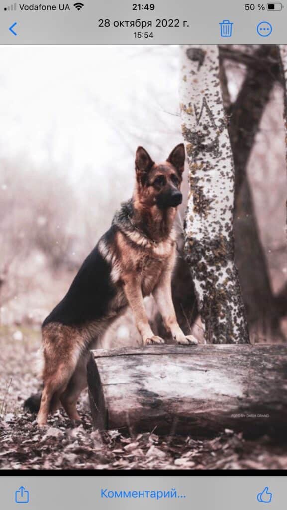 Image #1 from Світлана Сало