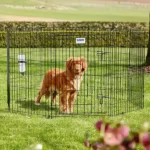 Парк-вольєр Savic Dog Park для цуценят, 8 панелей: 61(Ш) х 107(В) см