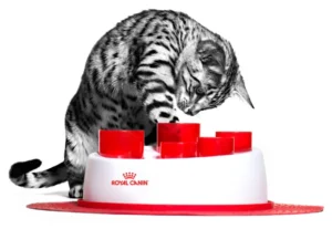 Акція 🎁 Сухий корм котів ROYAL CANIN URINARY CARE 2кг + Вологий корм URINARY CARE 12 паучів + Інтерактивна годівниця в подарунок 1 royal feeder 1