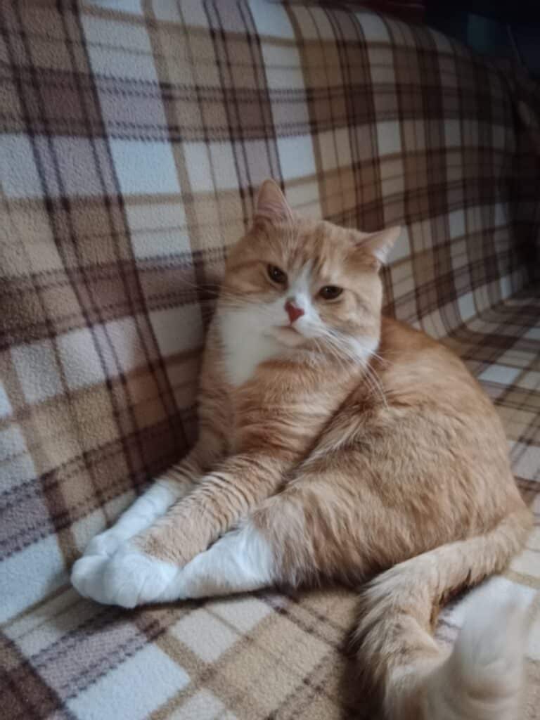 Зображення #1 від Людмила Лис