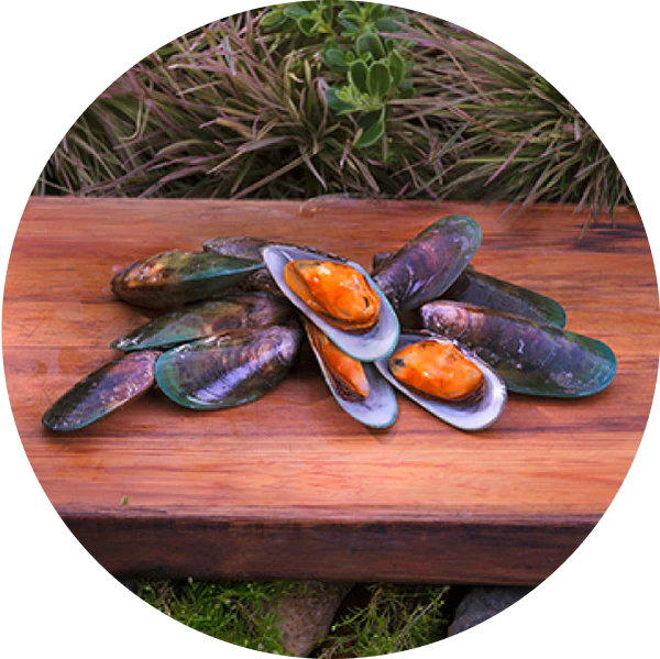 ziwi superfoods green lipped mussels