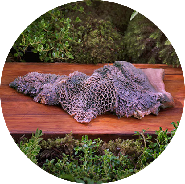 ziwi superfoods green tripe
