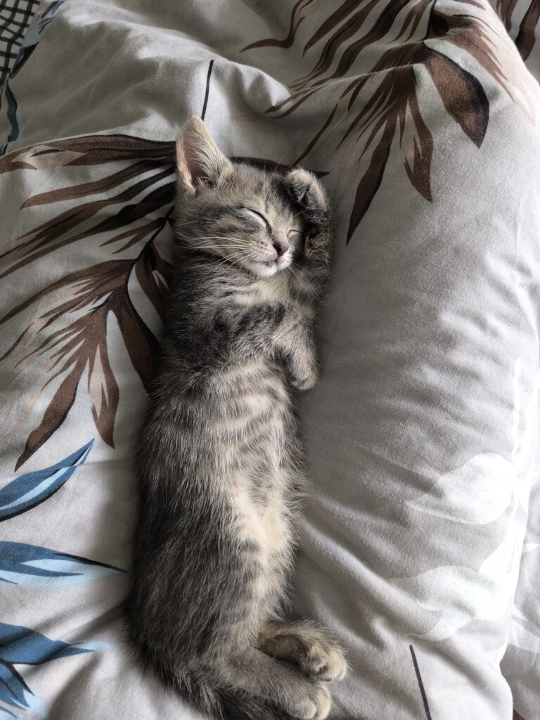 Зображення #1 від Максим К.