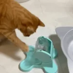 Іграшка CattyMan для котів колесо фортуни