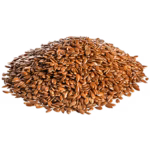 terracanis leinsamen