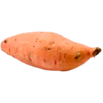 terracanis suesskartoffel
