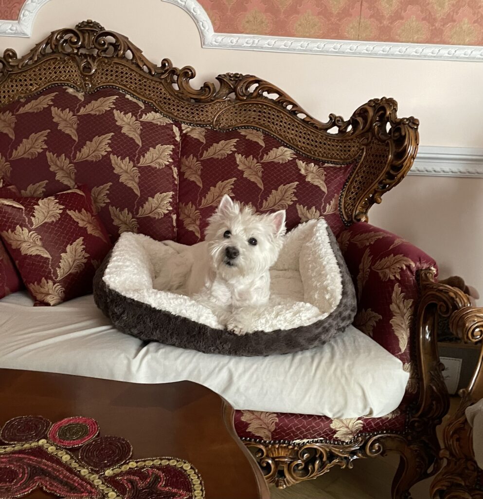 Зображення #1 від Ганна