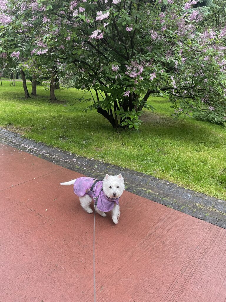 Зображення #1 від Ганна