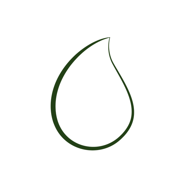 steam dried illustrations omega 3 fatty acids green