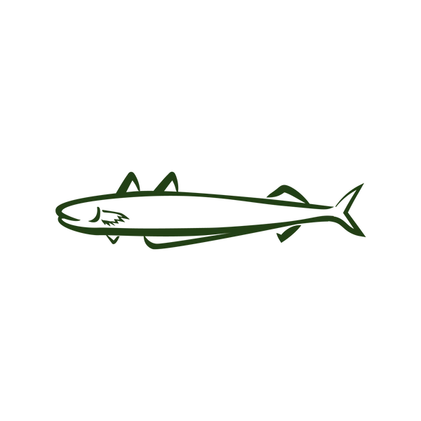 steam dried illustrations southern blue whiting green