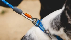 Посилений нашийник для собак зі світловідбивачем Ruffwear Top Rope™ Blue Pool Блакитне озеро 3 25503 topropecollar keyfeatures vring 1