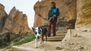 Нашийник канат світловідбивний для собак Ruffwear Knot-a-Collar™ Blue Pool Блакитне Озеро 3 25604 knotacollar keyfeatures connection 1