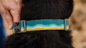 25802 crag collar key feature reflective web 1