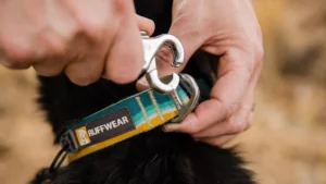 25802 crag collar key feature strong connection web 1