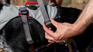 Шлейка для собак підвищеної міцності Ruffwear Doubleback™ Cloudburst Gray Сіра 2 30301 doubleback harness key features all metal hardware 1