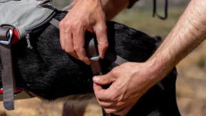 Шлейка для собак підвищеної міцності Ruffwear Doubleback™ Cloudburst Gray Сіра 3 30301 doubleback harness key features optimal fit 1