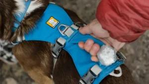 Легка шлейка для собак Ruffwear Flagline™ Basalt Gray Базальтовий сірий 2 flagline harness lift assist 1