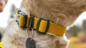 hi light webbing low profile 1