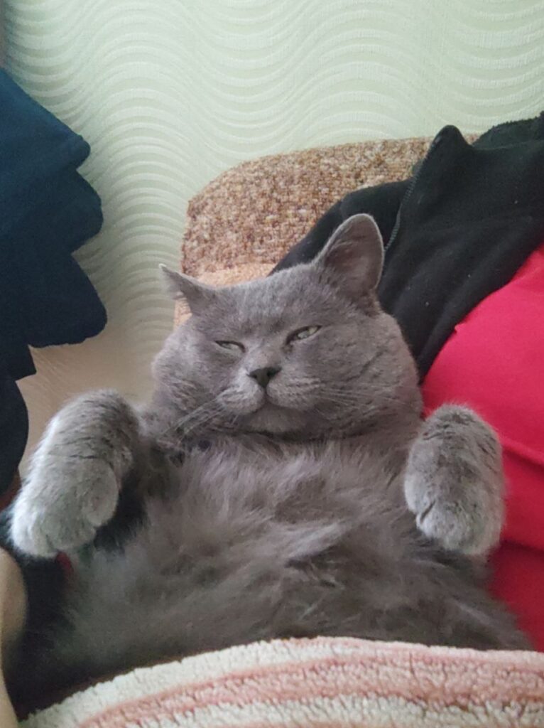 Зображення #2 від Юлия