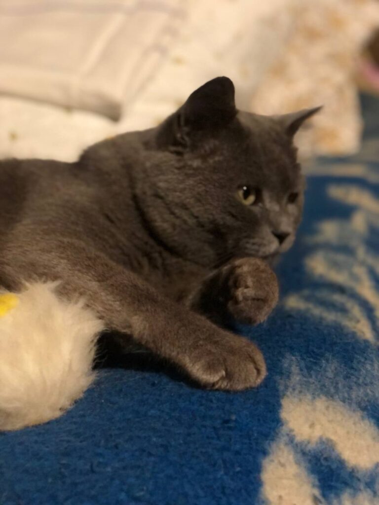 Зображення #1 від Юлия