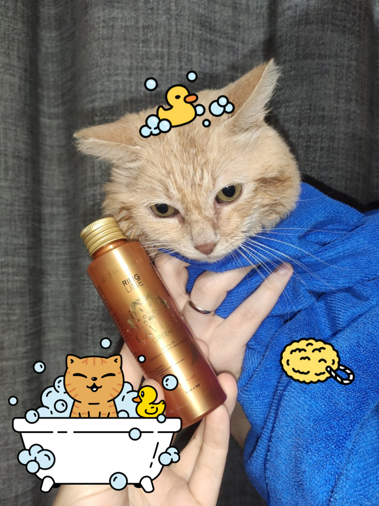 Мене покупали 🧼 - медіа 1 з 1