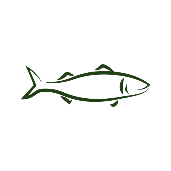 steam dried illustrations mackerel green