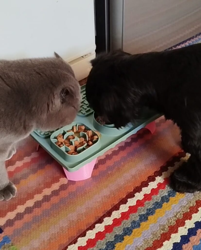 Зображення #1 від Наталія Т.