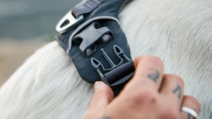 30503 frontrangeharness keyfeatures adjustable