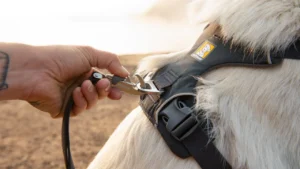 30503 frontrangeharness keyfeatures connections