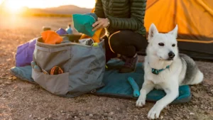 Дорожня сумка для речей собаки Ruffwear Haul Bag™ Slate Blue Сланцевий блакитний 1 35751 haul bag key features multiple pockets web