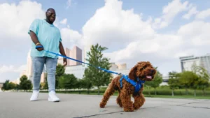 40753 frontrangeleash keyfeatures comfortablehandle