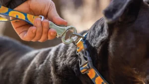 Рефлекторний повідець для собак Ruffwear Crag™ Alpine Dusk Альпійські сутінки 1,8 м 1 4081 cragleash keyfeatures talonclip