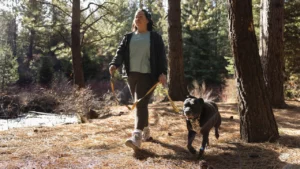 Рефлекторний повідець для собак Ruffwear Crag™ Alpine Dusk Альпійські сутінки 1,8 м 3 4081 cragleash keyfeatures wearingoptions