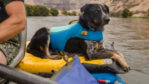 Рятувальний жилет для собак Ruffwear Float Coat™ Deep Blue Purple Lily Фіолетова лілія 2 45103 float coat key features secure adjustable web