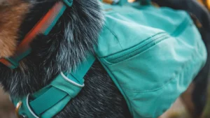 50601 frontrangedaypack keyfeatures gearcarry